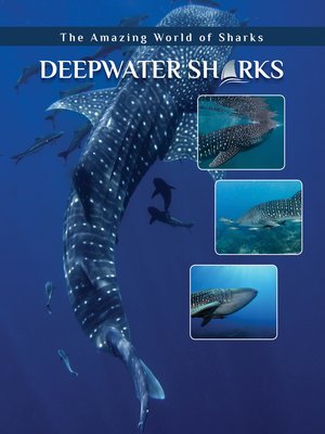 cover image of Deepwater Sharks